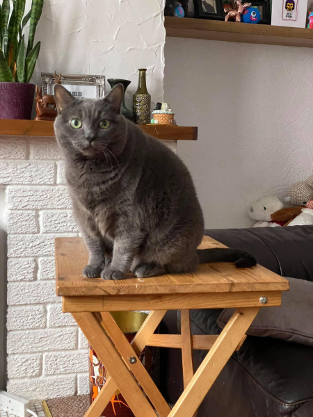 Thread 52 Sunak: The Final Countdown