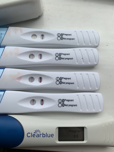 test progression