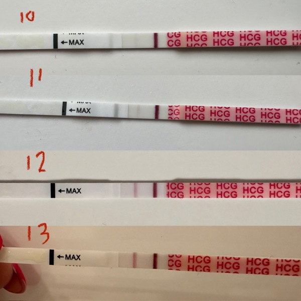 Pregnancy after loss part 2