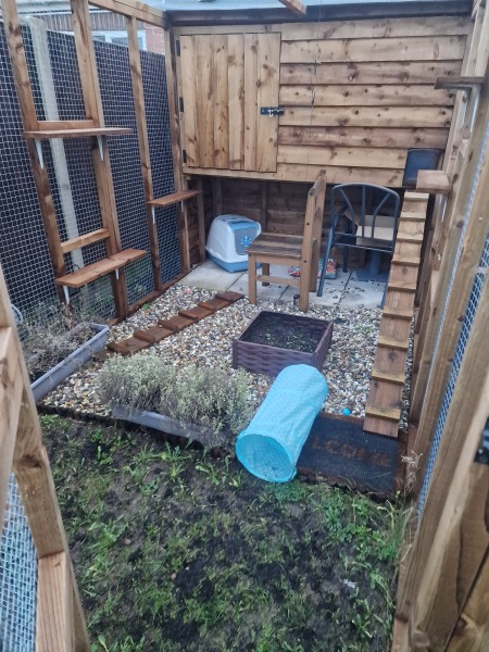 What to put in a catio?