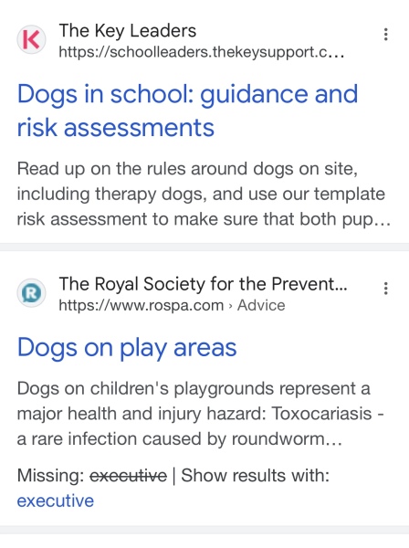 Dog Bit My Child This Morning In The Playground!