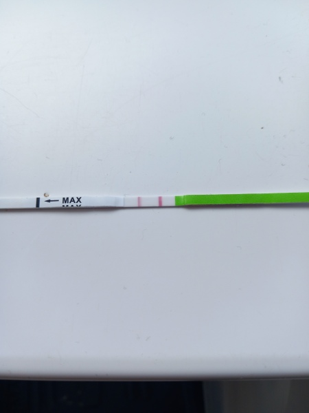 Help with ovulation