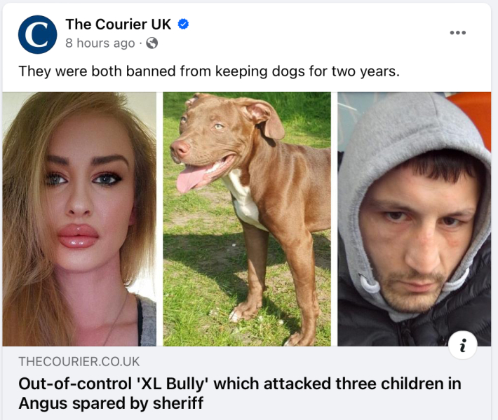 XL bully attacked 3 children