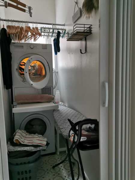 What's more important - dishwasher or tumble dryer?