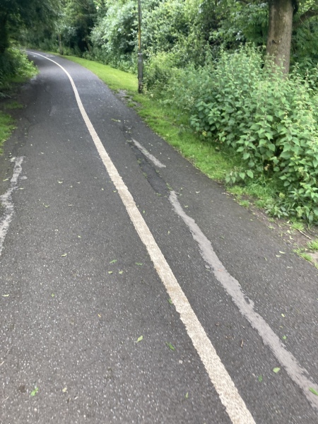 Was I being unreasonable, footpath vs cycle path
