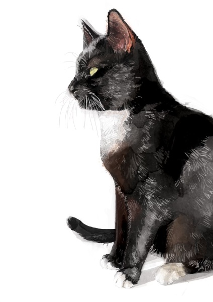 What do you have on the walls in the bedroom?