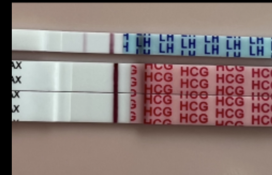 2DPO