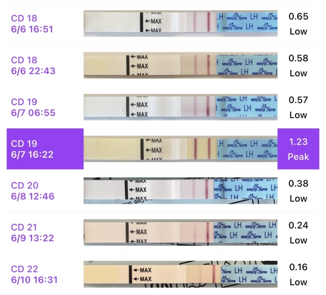 Did I miss my peak? Help please