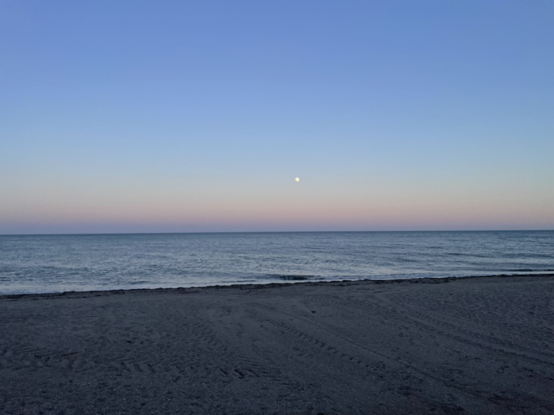 The Great Recovery part 2 - After Cancer treatment what next?