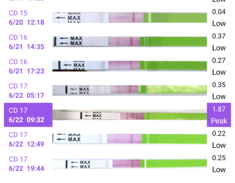 TTC June 2024 ✨♥️