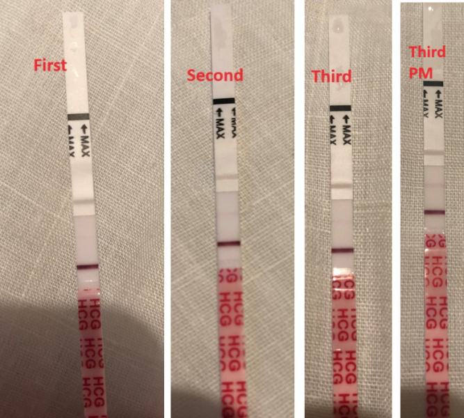 BFP after recent loss