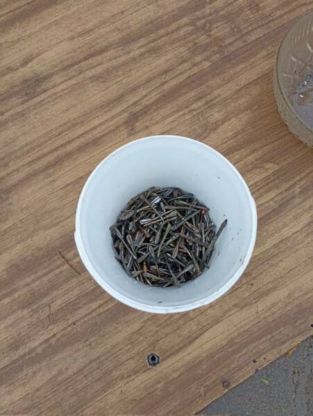 Ukraine Invasion: Part 50