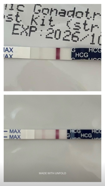 IVF/ICSI Transfer at the end of June