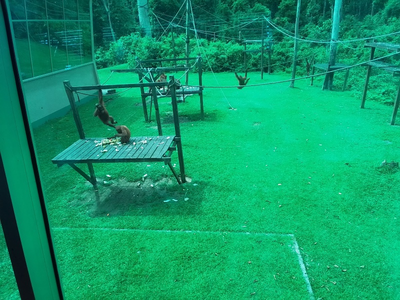 Year 13 2024 - General support thread part 2