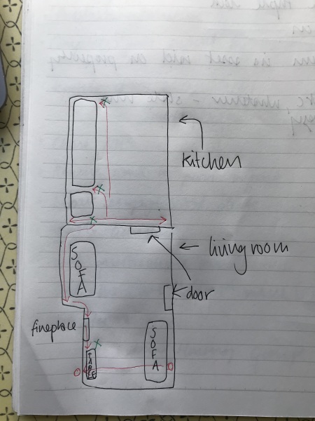 to ask how you got rid of MICE!!! (diagram included)