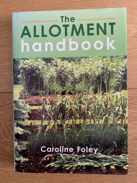 Advice for an allotment beginner