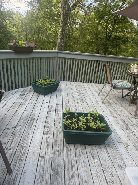 Come and tell me your dull and unexciting news 30: Calmly through the day