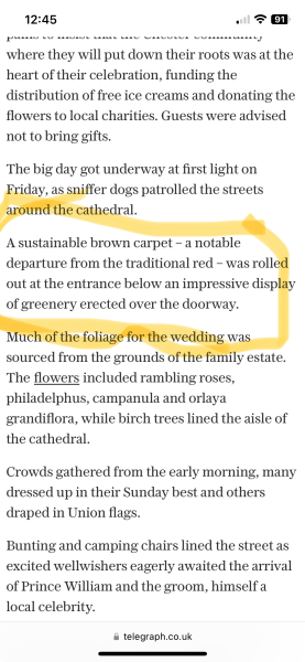 Hugh Grosnevor & Olivia Henson's wedding