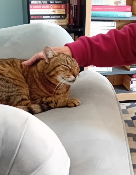 The One where TC moved to Scotland and joined the Excellent Cats