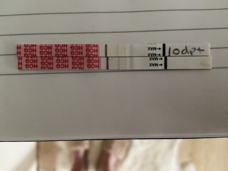 IVF/ICSI May or late April (Part 2)