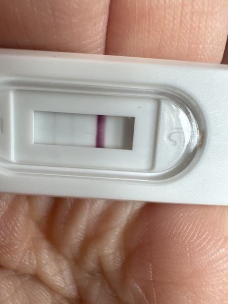 False positive on Morrisons pregnancy test?