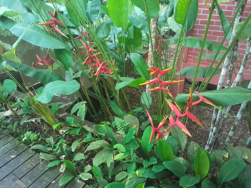 Come and tell me your dull and unexciting news 30: Calmly through the day