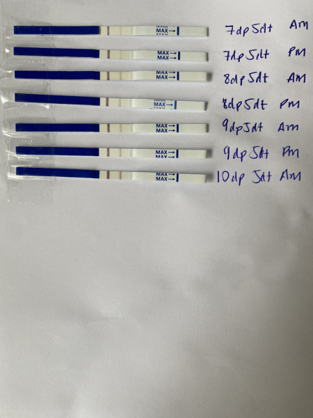 FRER line staying the same but cheap strip tests progressing