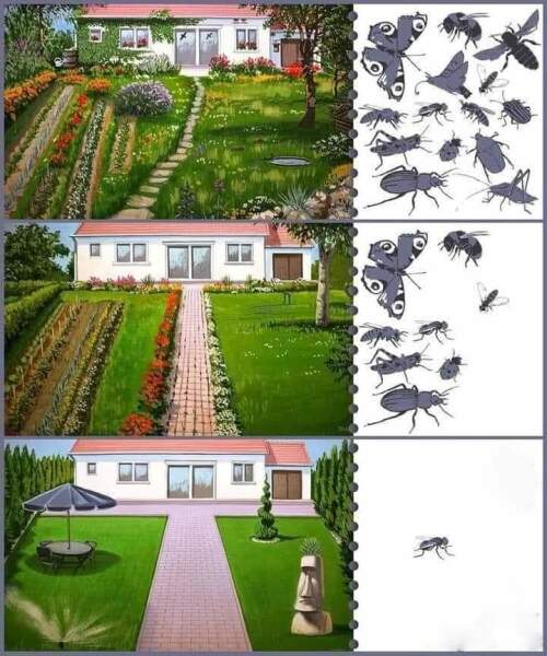 If your garden is messy, do you still sit in it and enjoy it?