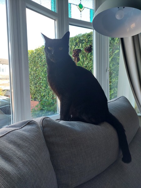 Thread 52 Sunak: The Final Countdown