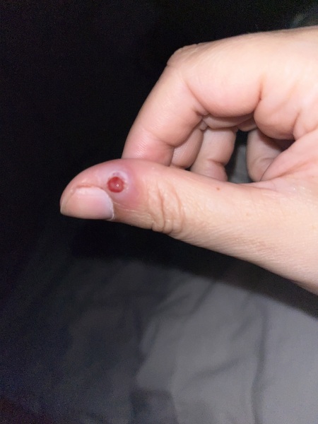 What on earth is this?