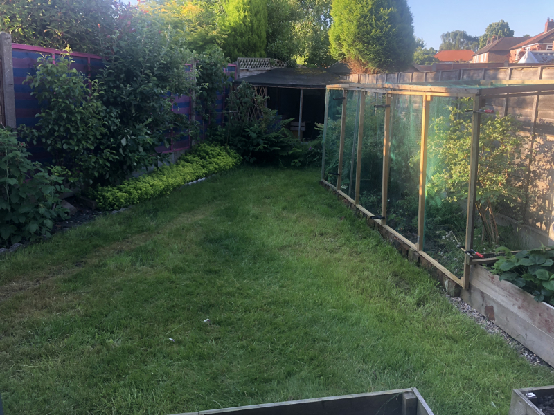 What have you done in the garden today? Part 5
