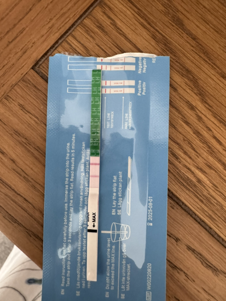 TTC June 2024 ✨♥️