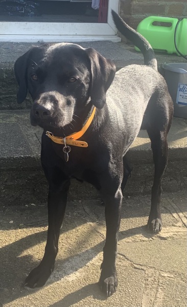 Thread 49 Sunak: He Left them on the beaches