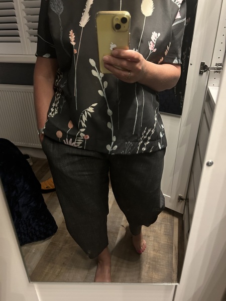 Stitch and bitch thread #9. I have pressing concerns