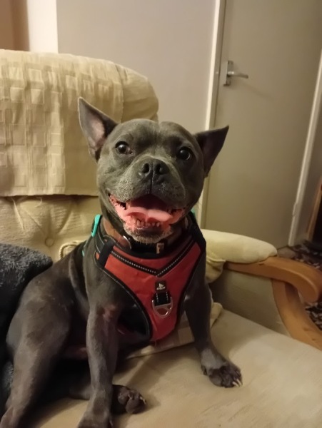 New April continuing thread for living an alcohol free life - all welcome