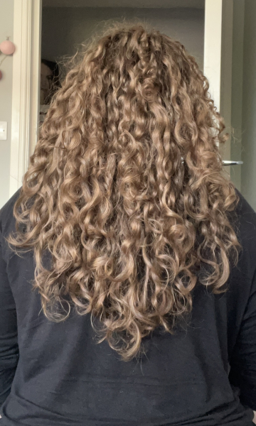 🐌 Fantastic Skincare: Bear Shaped Pseudo Face Vibrators, Don't Ask us What They're For(eo) 🐻