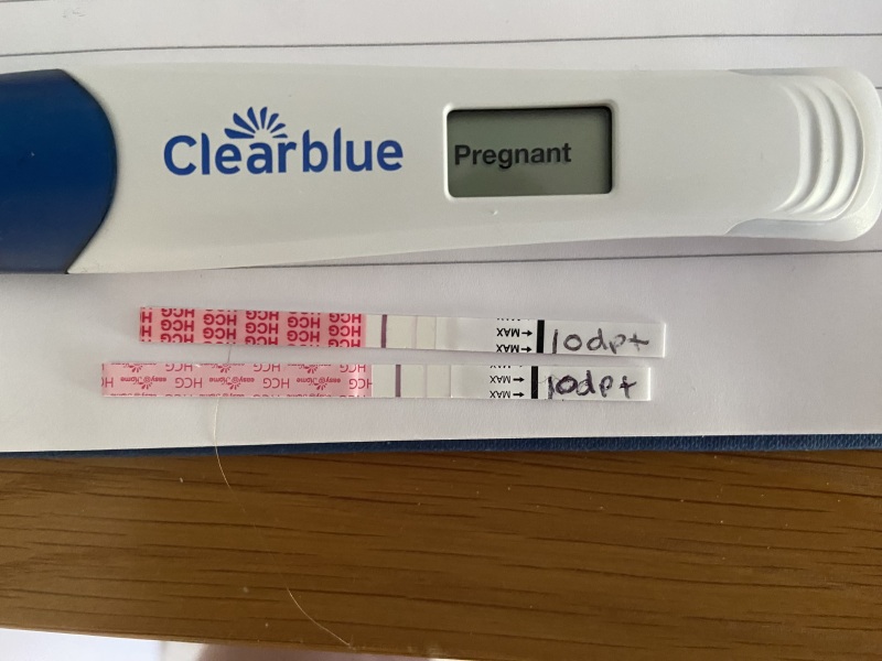 IVF/ICSI May or late April (Part 2)