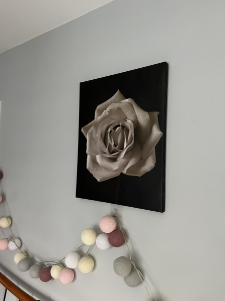 What do you have on the walls in the bedroom?