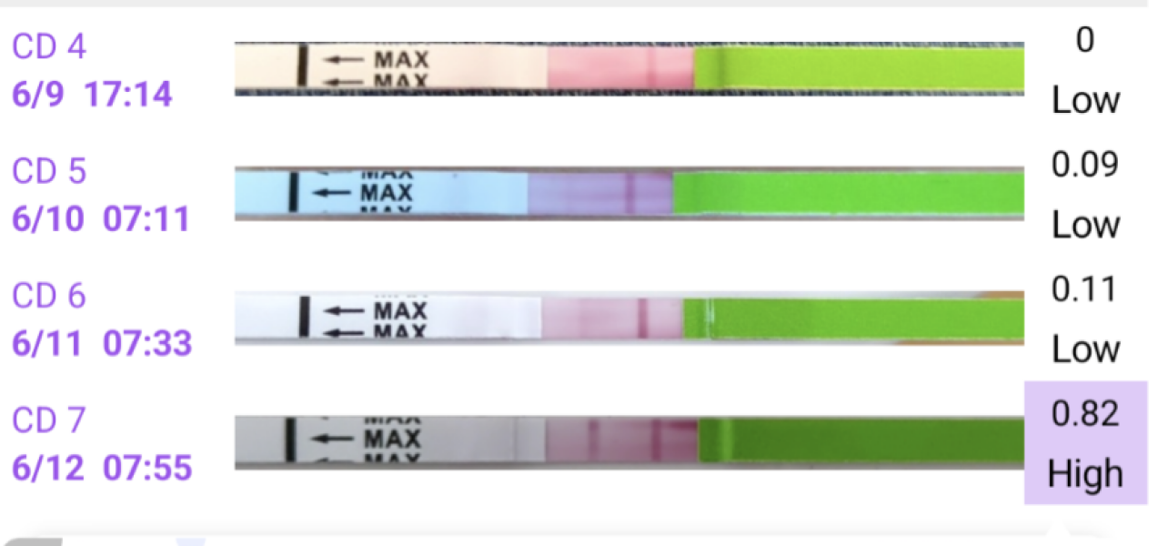 TTC June 2024 ✨♥️
