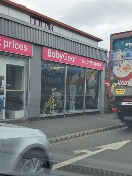 Can MN find this giant wicker giraffe??