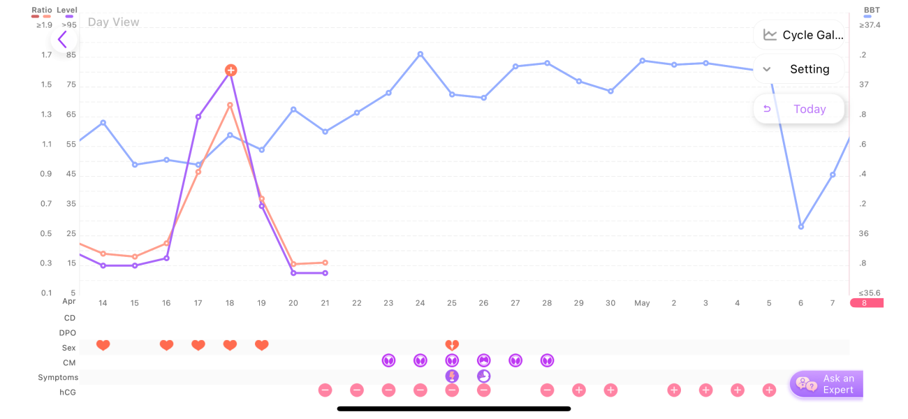 TTC after chemical pregnancy