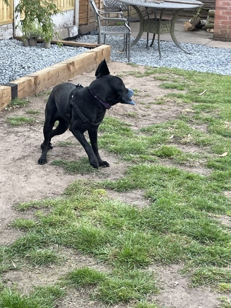Shall we have a pet thread? Something nice for over the weekend 😁