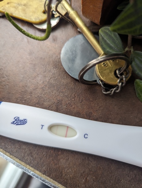 IVF/ICSI May or late April (Part 2)