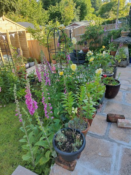 What have you done in the garden today? Part 5