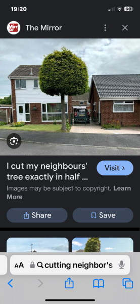 Neighbour trimmed the tree that hangs over in to her garden......but