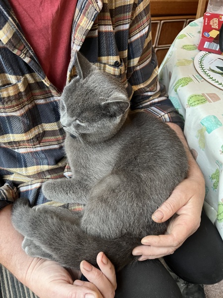 The One where TC moved to Scotland and joined the Excellent Cats