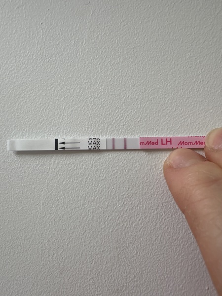 Ovulation test help