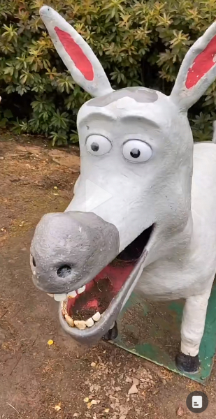 More unusual things to do around Aberdeen