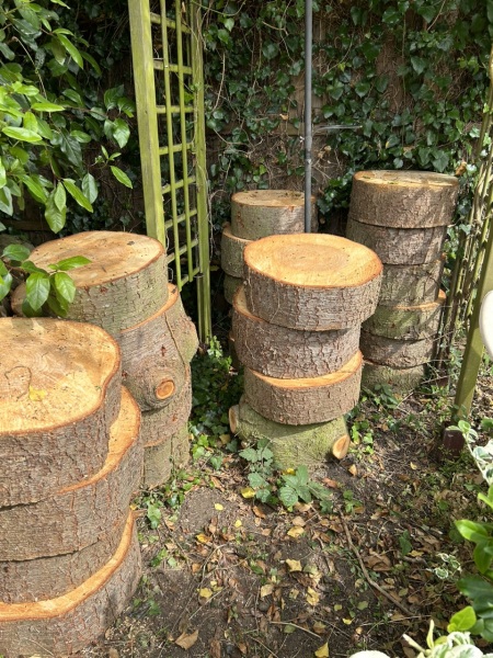 What to do with all this wood?