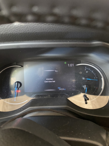 Children dying in cars due to heat